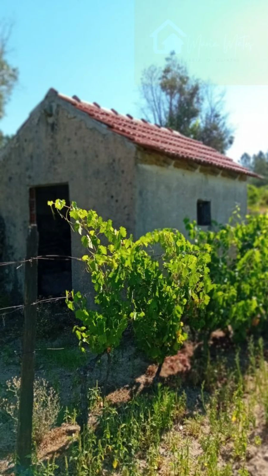 Quinta T0 para Venda em Castelo de Penalva Foto 35