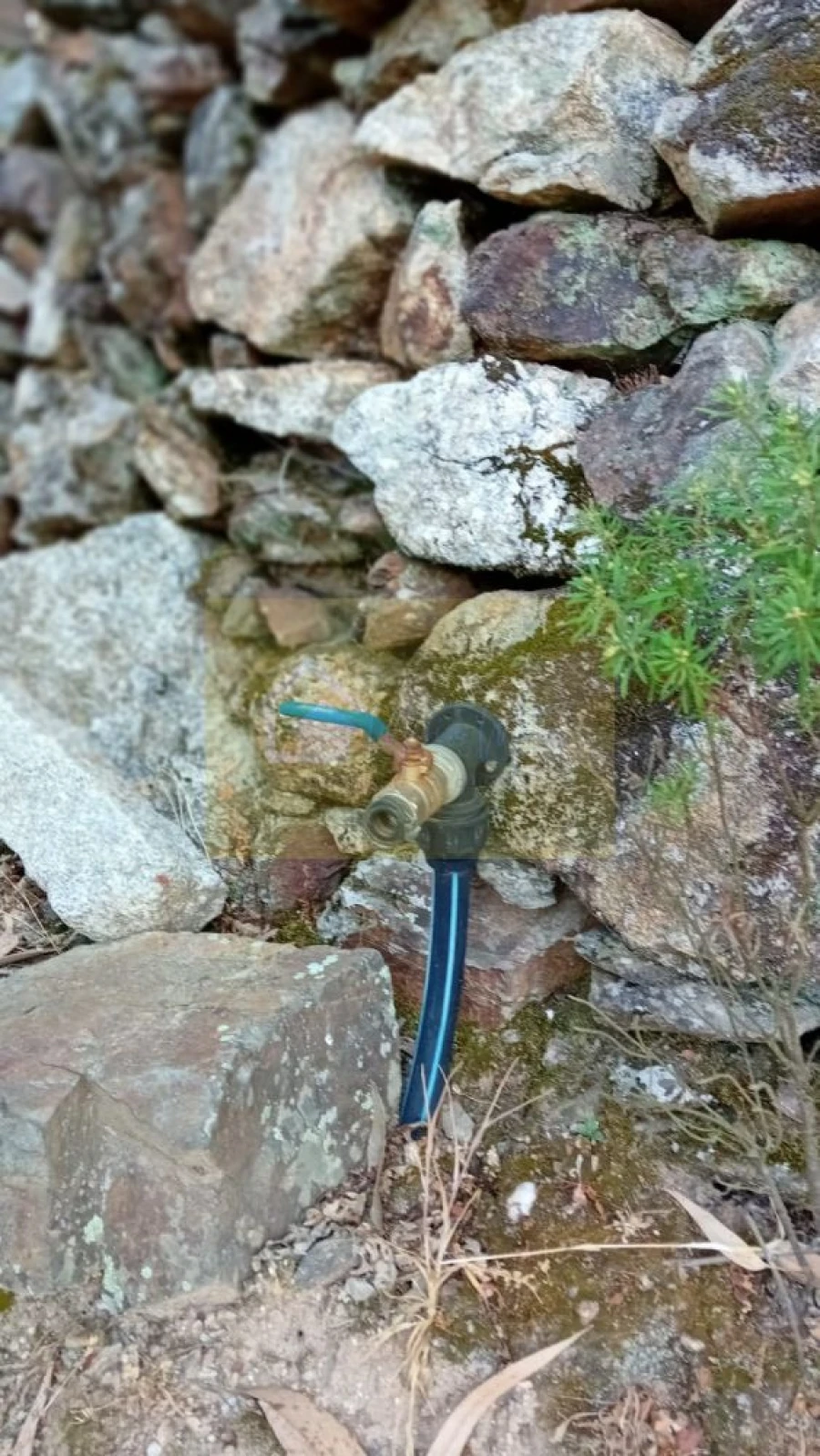 Quinta T0 para Venda em Castelo de Penalva Foto 21