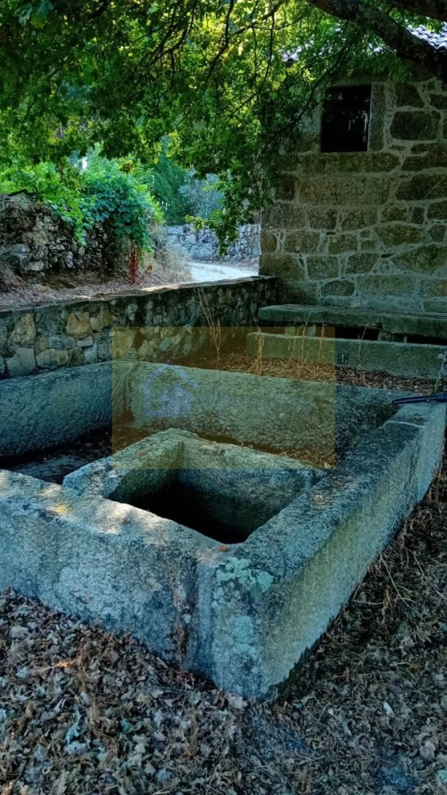 Quinta T0 para Venda em Castelo de Penalva Foto 12