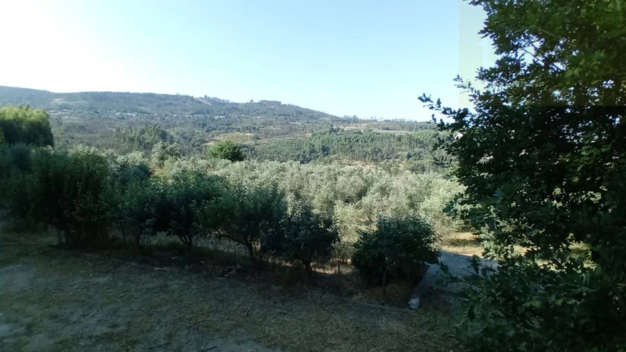 Quinta T0 para Venda em Castelo de Penalva Foto 23