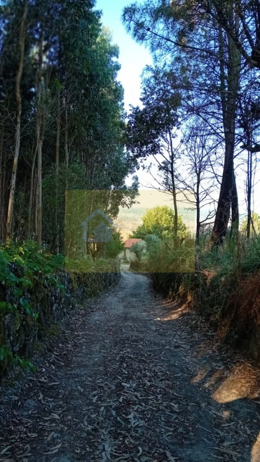Quinta T0 para Venda em Castelo de Penalva Foto 47