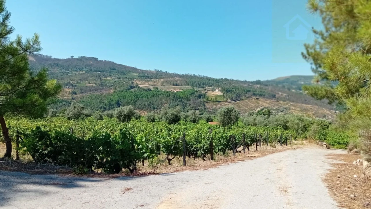 Quinta T0 para Venda em Castelo de Penalva Foto 40
