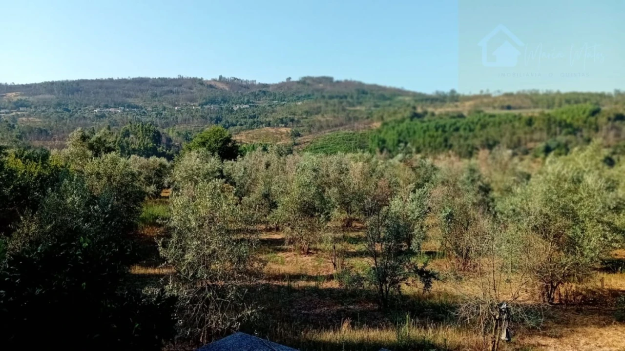 Quinta T0 para Venda em Castelo de Penalva Foto 41