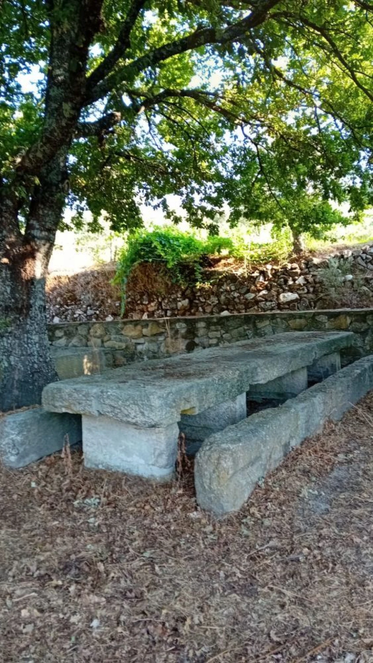 Quinta T0 para Venda em Castelo de Penalva Foto 10