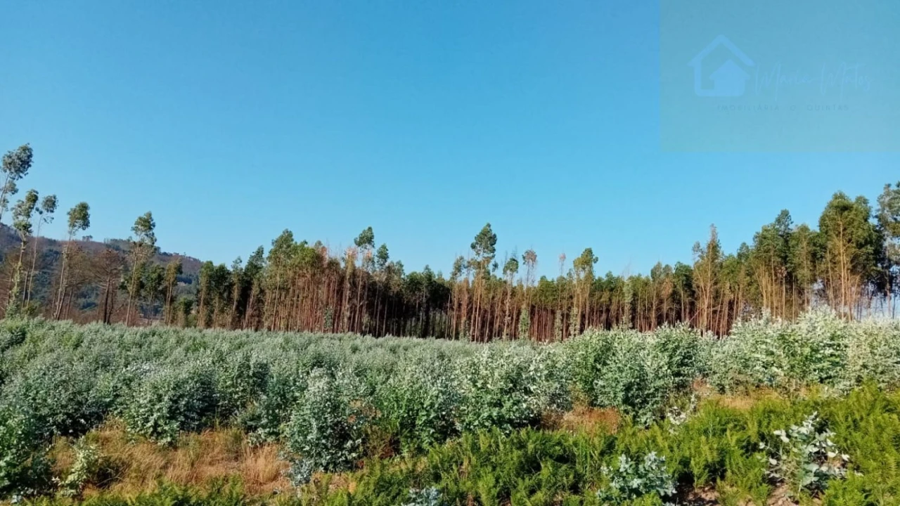 Quinta T0 para Venda em Castelo de Penalva Foto 30