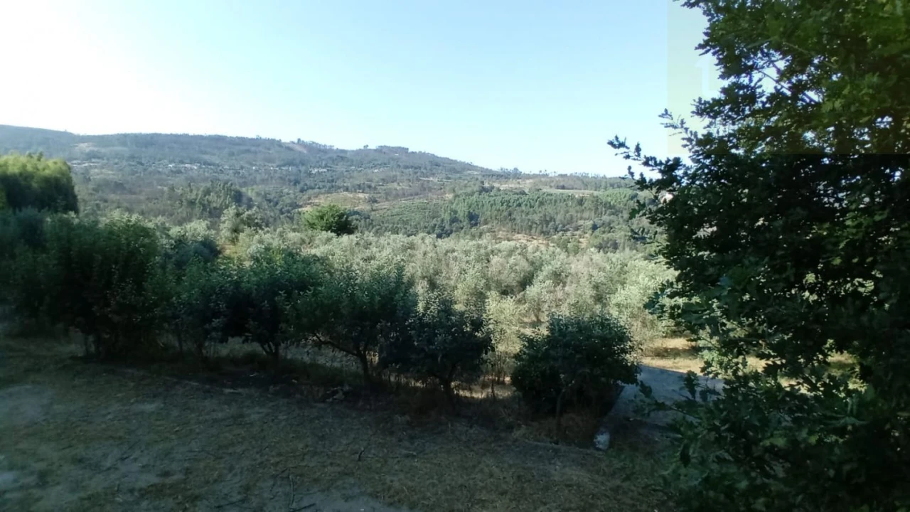 Quinta T0 para Venda em Castelo de Penalva Foto 24