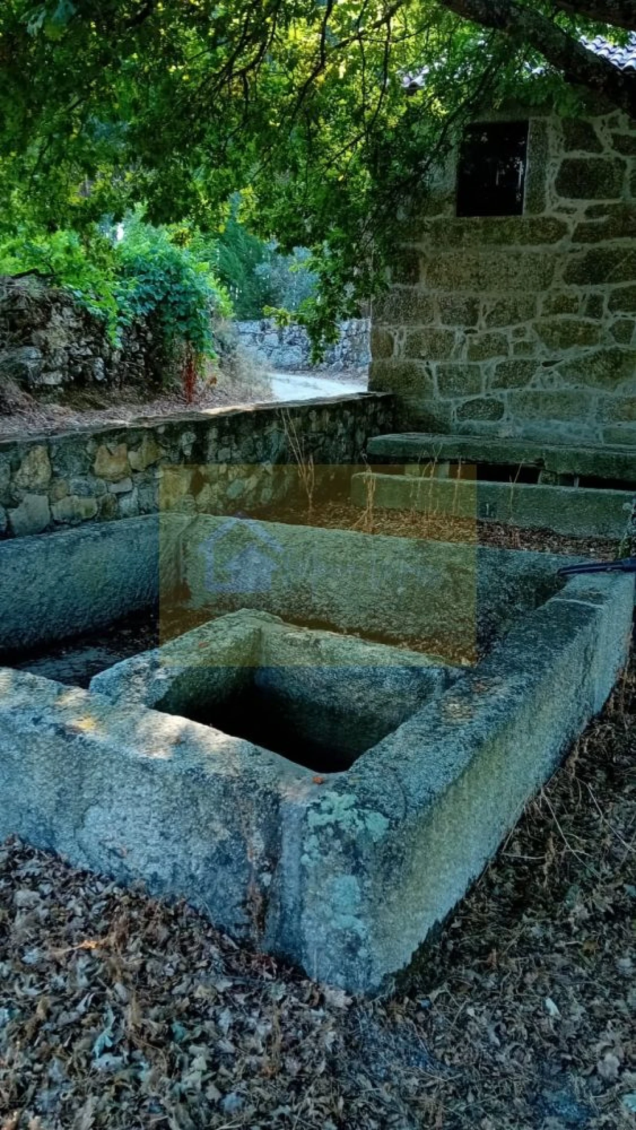 Quinta T0 para Venda em Castelo de Penalva Foto 12