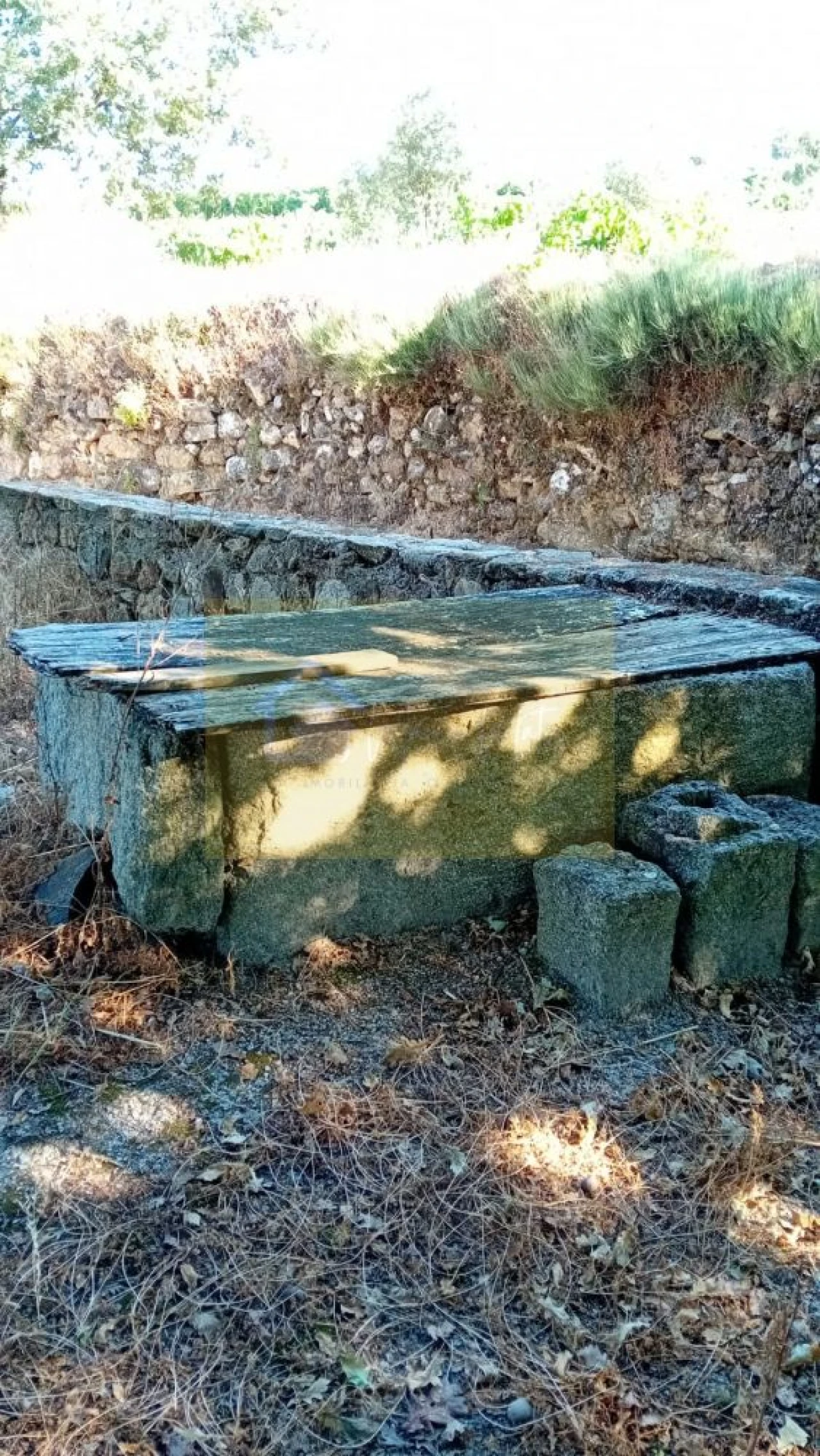 Quinta T0 para Venda em Castelo de Penalva Foto 13