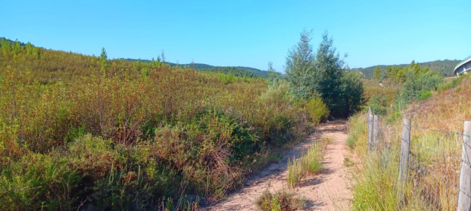 Terreno Agricola ou Rústico para Arrendamento em Belver Foto 4
