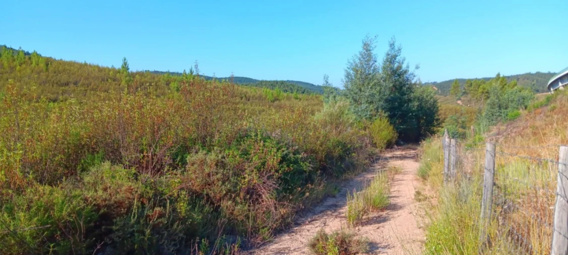 Terreno Agricola ou Rústico para Arrendamento em Belver Foto 4