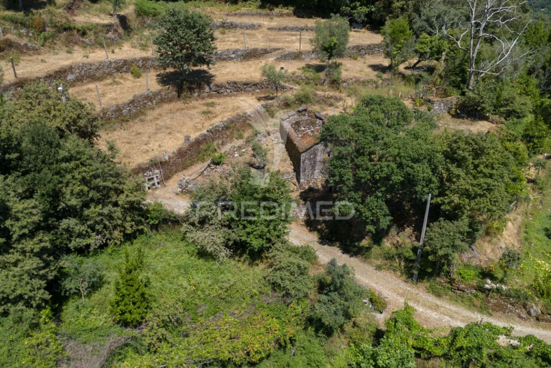 Terreno para Venda em Cibões e Brufe Foto 10