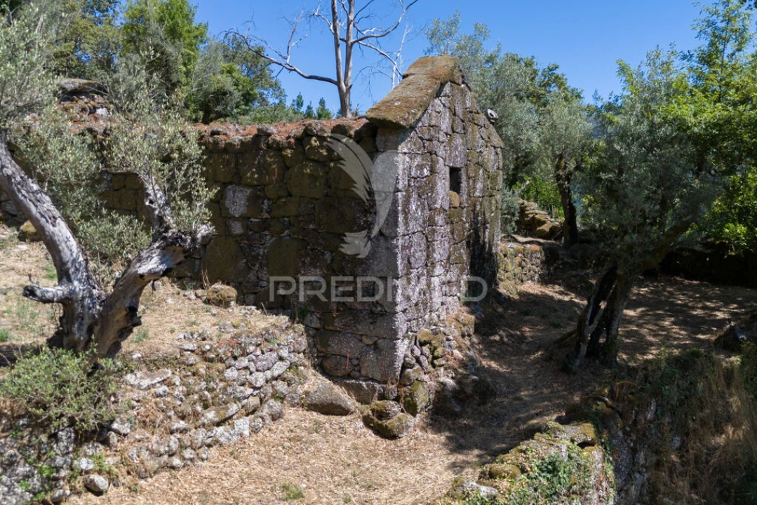 Terreno para Venda em Cibões e Brufe Foto 18