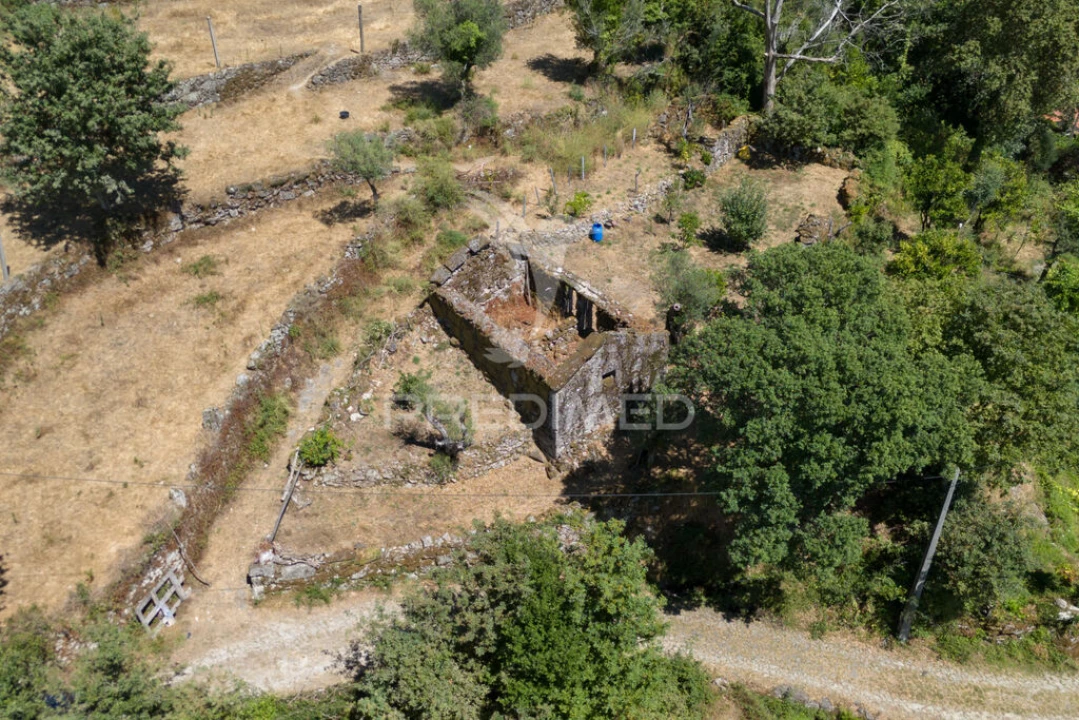 Terreno para Venda em Cibões e Brufe Foto 13