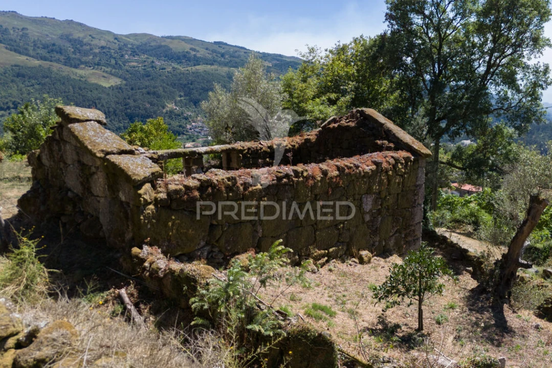 Terreno para Venda em Cibões e Brufe Foto 16