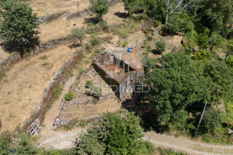 Terreno para Venda em Cibões e Brufe Foto 13