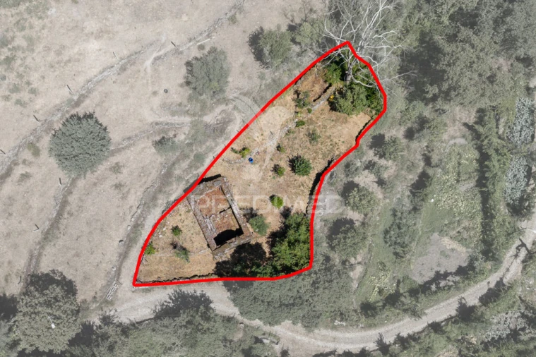 Terreno para Venda em Cibões e Brufe