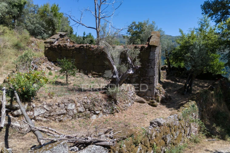 Terreno para Venda em Cibões e Brufe Foto 17