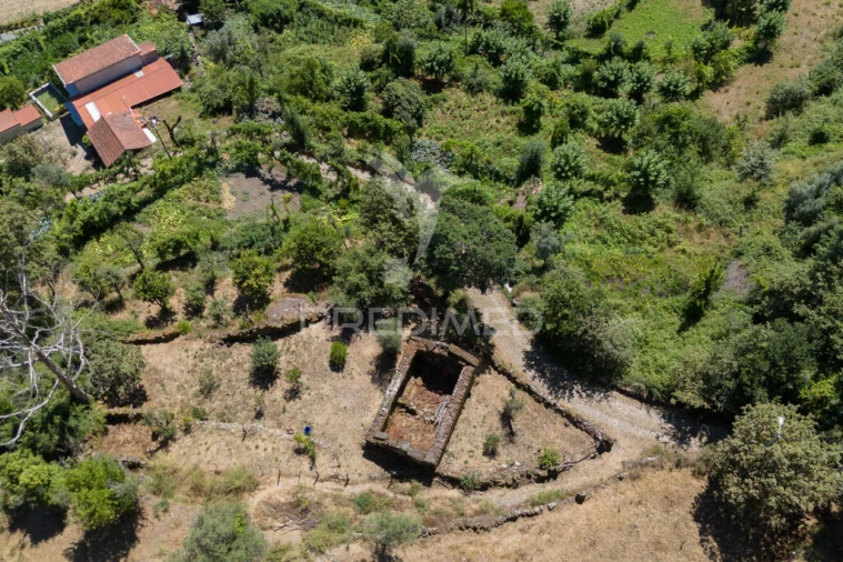 Terreno para Venda em Cibões e Brufe Foto 6