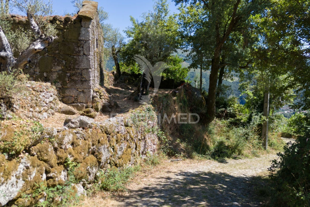 Terreno para Venda em Cibões e Brufe Foto 20