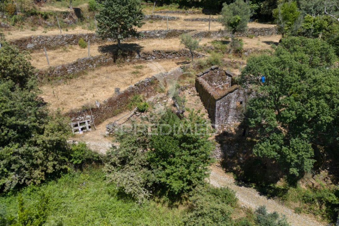 Terreno para Venda em Cibões e Brufe Foto 11