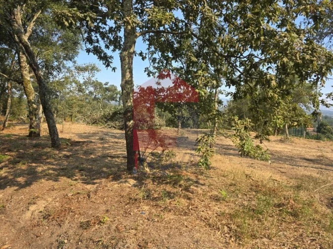 Terreno para Venda em Turiz Foto 4