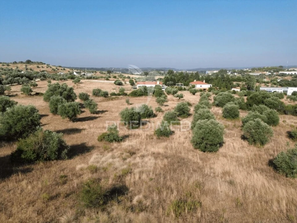 Terreno para Arrendamento em Bugalhos Foto 7