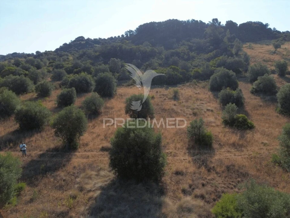 Terreno para Arrendamento em Bugalhos Foto 5