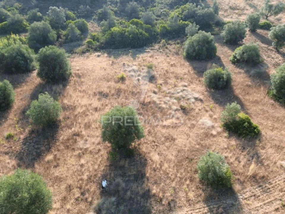 Terreno para Arrendamento em Bugalhos Foto 3