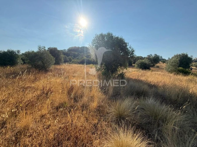 Terreno para Arrendamento em Bugalhos Foto 17