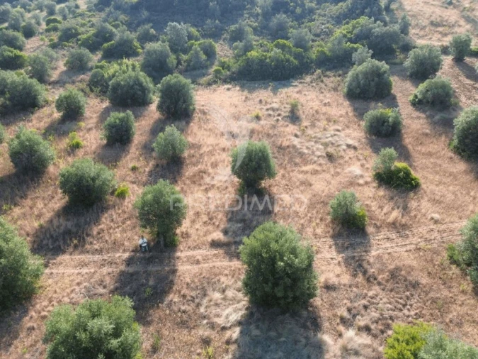 Terreno para Arrendamento em Bugalhos Foto 9