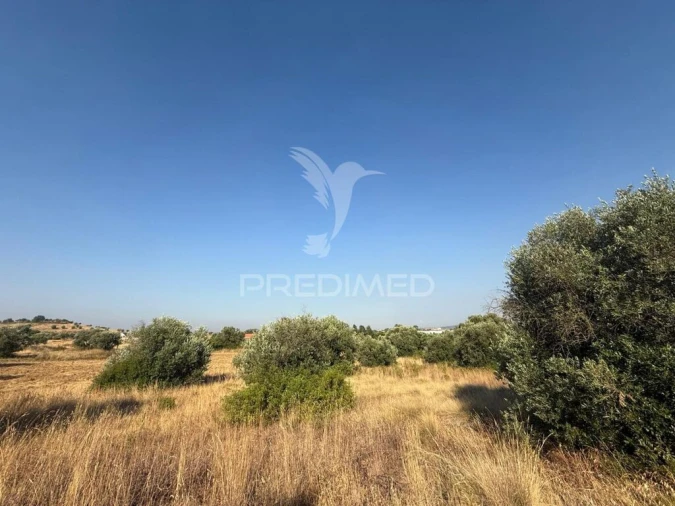 Terreno para Arrendamento em Bugalhos Foto 15