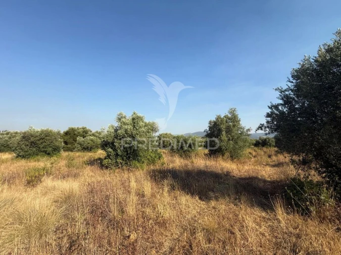 Terreno para Arrendamento em Bugalhos Foto 16