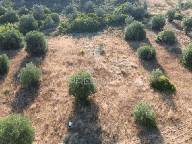 Terreno para Arrendamento em Bugalhos Foto 3