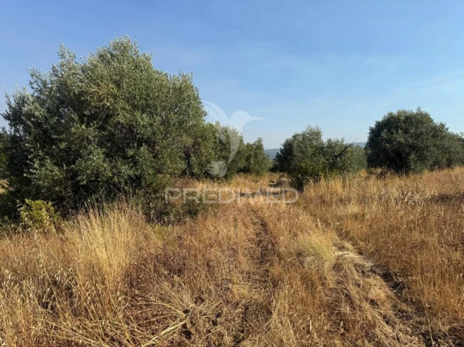 Terreno para Arrendamento em Bugalhos Foto 10