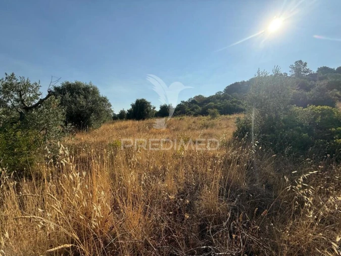 Terreno para Arrendamento em Bugalhos Foto 13