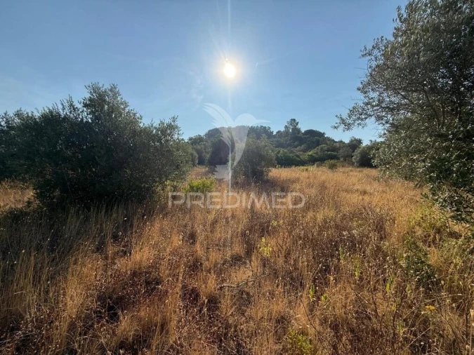 Terreno para Arrendamento em Bugalhos Foto 18