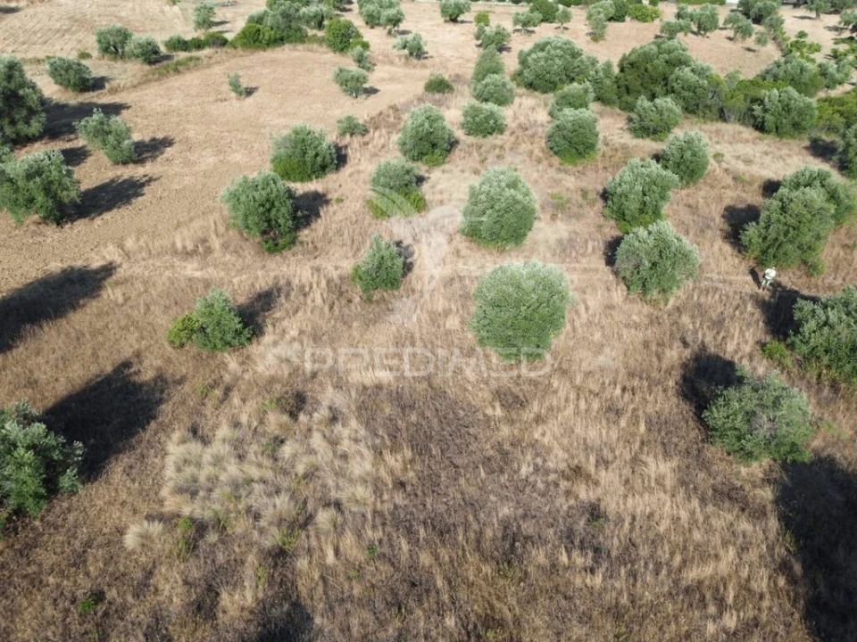 Terreno para Arrendamento em Bugalhos Foto 2