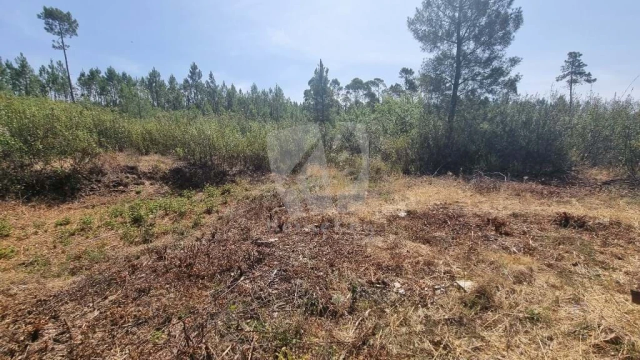 Terreno para Venda em Santo Andre das Tojeiras Foto 10