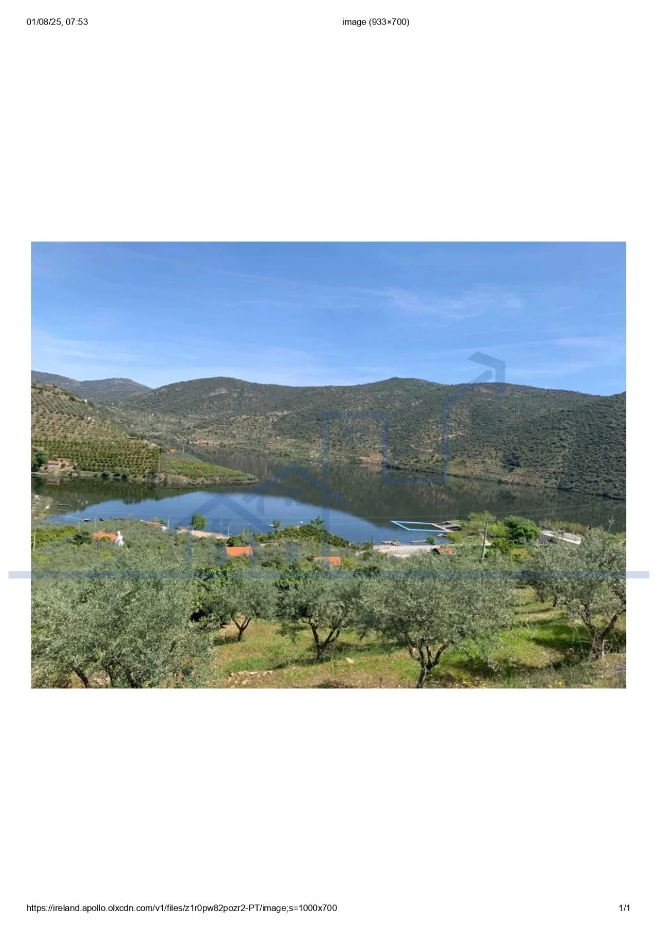 Terreno para Venda em Freixo de Espada a Cinta e Mazouco Foto 15