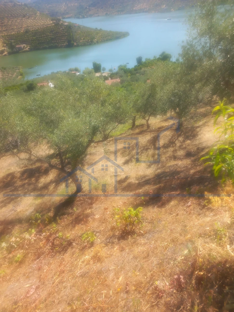 Terreno para Venda em Freixo de Espada a Cinta e Mazouco Foto 8