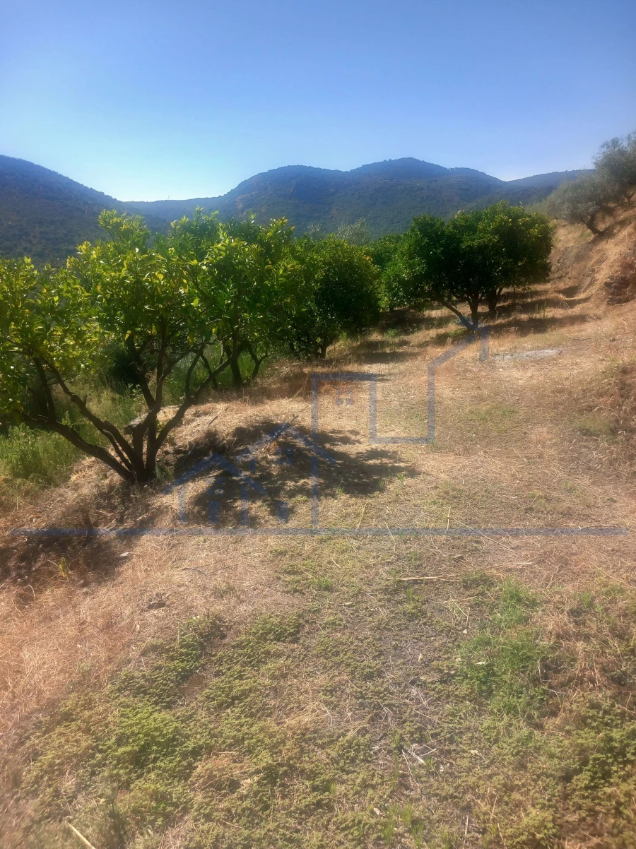 Terreno para Venda em Freixo de Espada a Cinta e Mazouco Foto 7