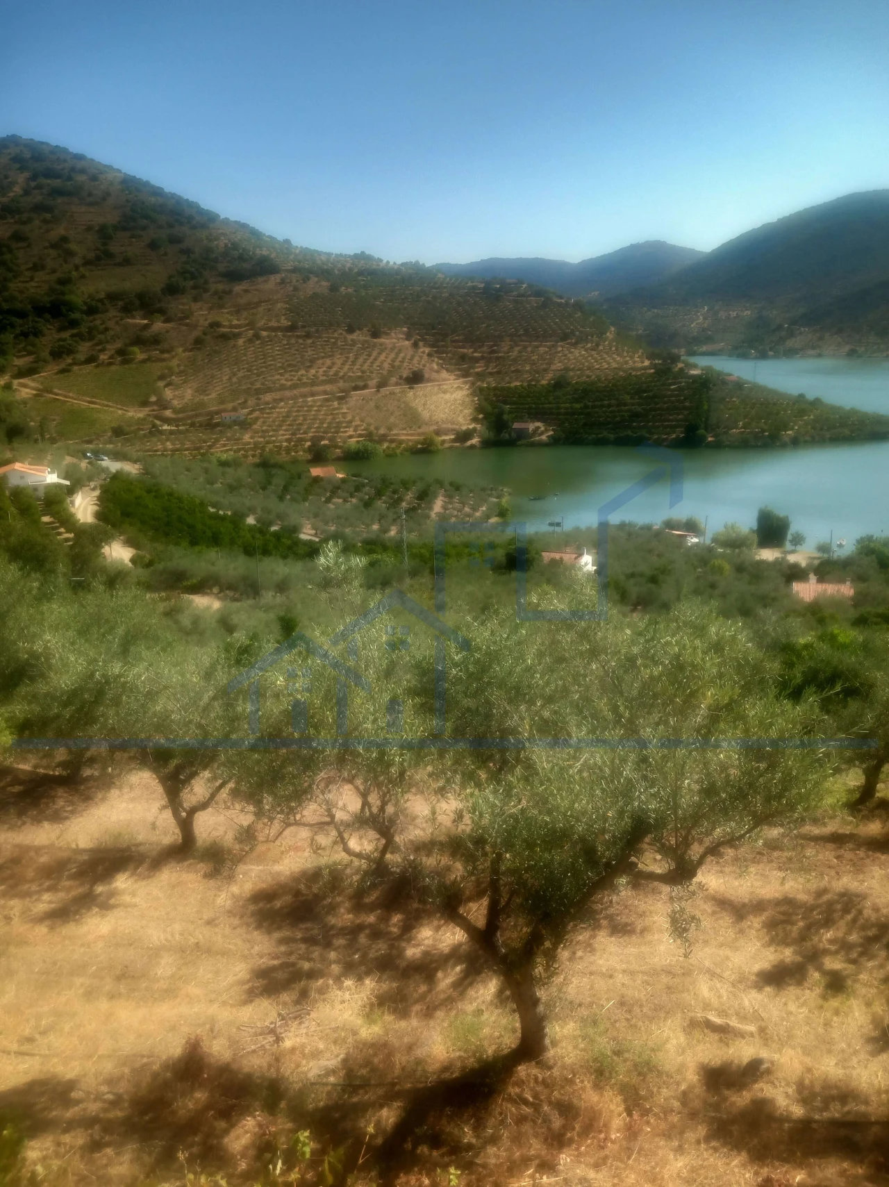 Terreno para Venda em Freixo de Espada a Cinta e Mazouco Foto 2