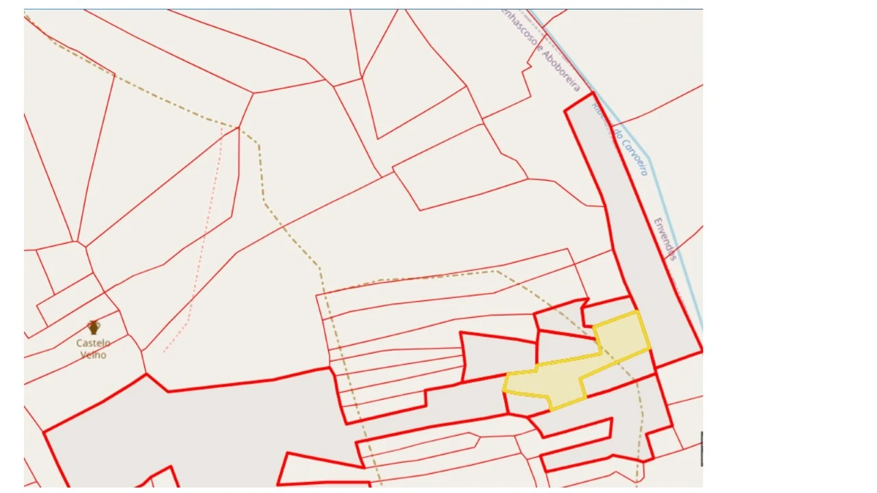 Terreno Agricola ou Rústico para Venda em Mação, Penhascoso e Aboboreira Foto 2