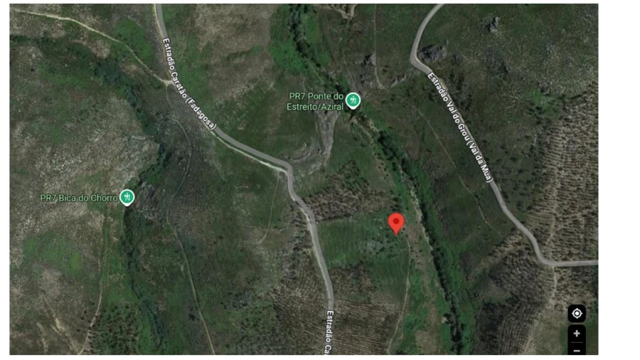 Terreno Agricola ou Rústico para Venda em Mação, Penhascoso e Aboboreira Foto 4