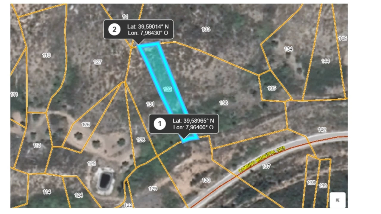 Terreno Agricola ou Rústico para Venda em Mação, Penhascoso e Aboboreira Foto 3