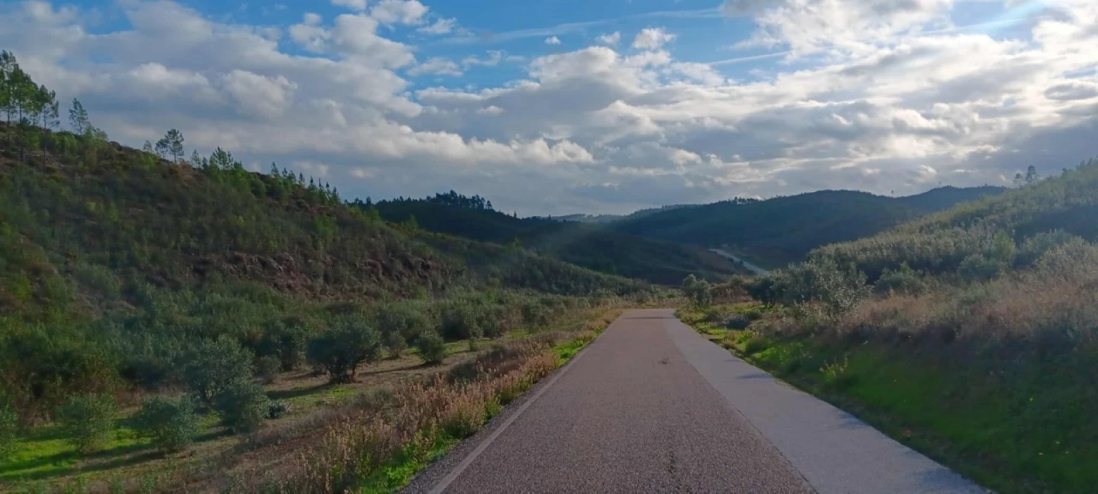 Terreno Agricola ou Rústico para Venda em Mação, Penhascoso e Aboboreira Foto 4