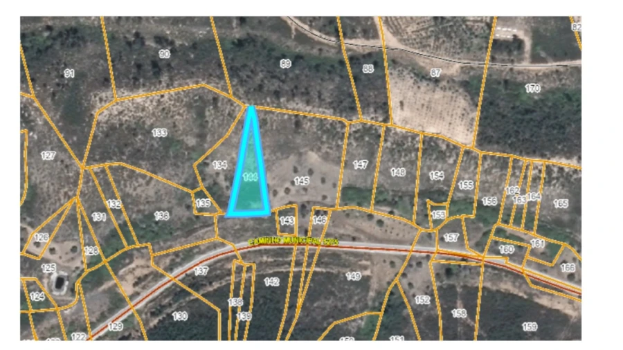 Terreno Agricola ou Rústico para Venda em Mação, Penhascoso e Aboboreira Foto 5