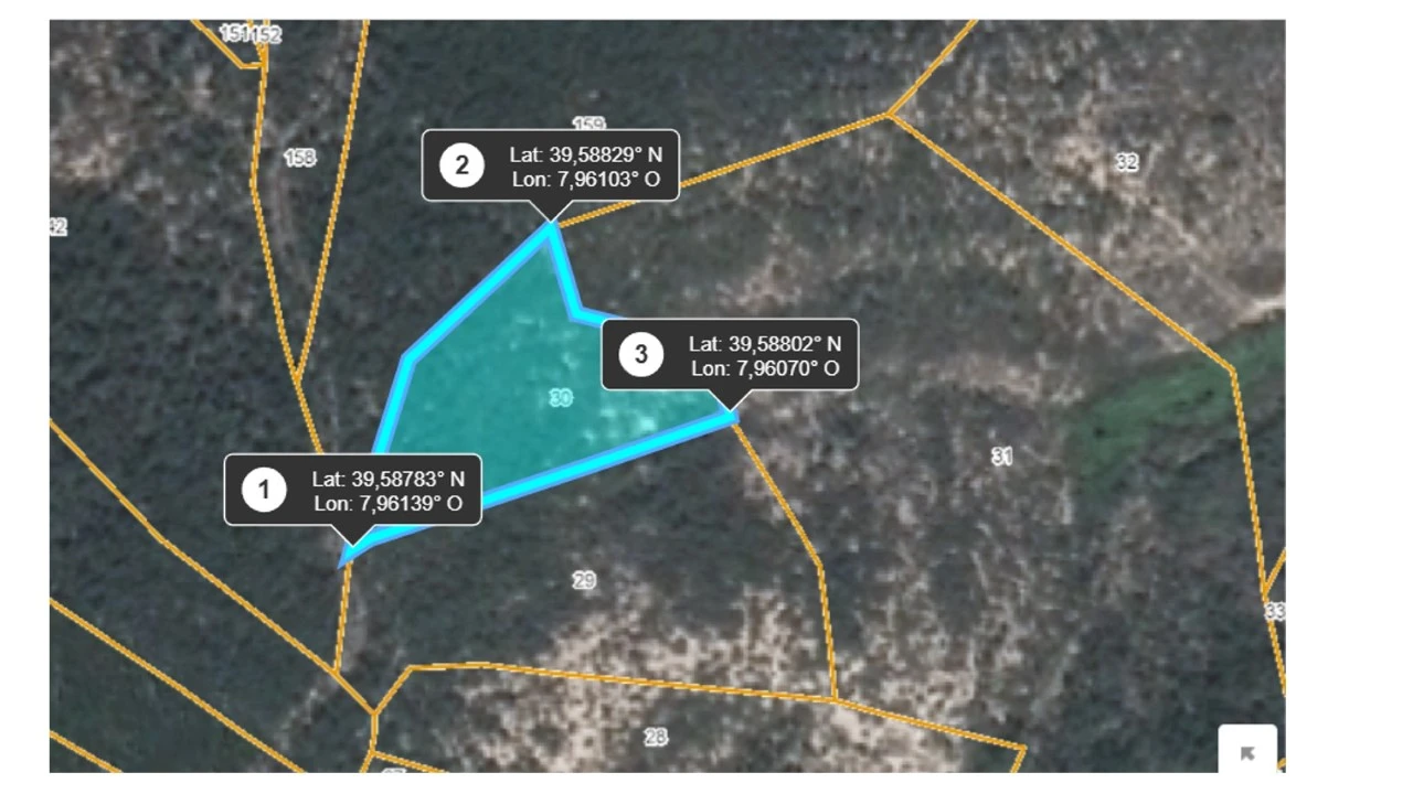 Terreno Agricola ou Rústico para Venda em Mação, Penhascoso e Aboboreira Foto 3