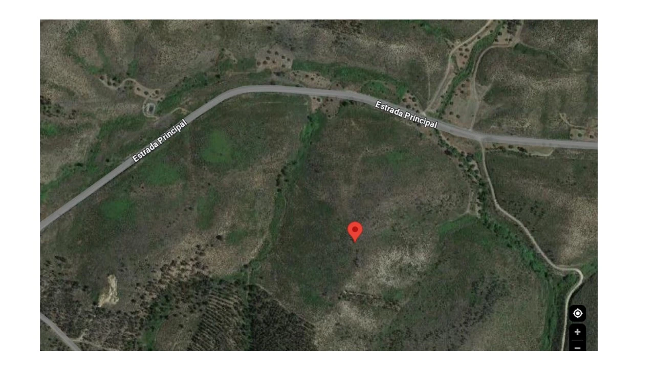 Terreno Agricola ou Rústico para Venda em Mação, Penhascoso e Aboboreira Foto 4