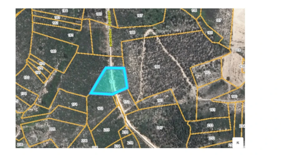 Terreno Agricola ou Rústico para Venda em Mação, Penhascoso e Aboboreira Foto 5